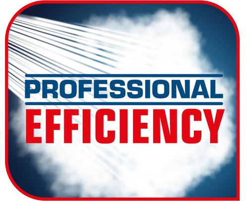 Επαγγελματική απόδοση